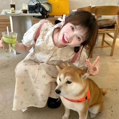 咸鱼哥第二季
